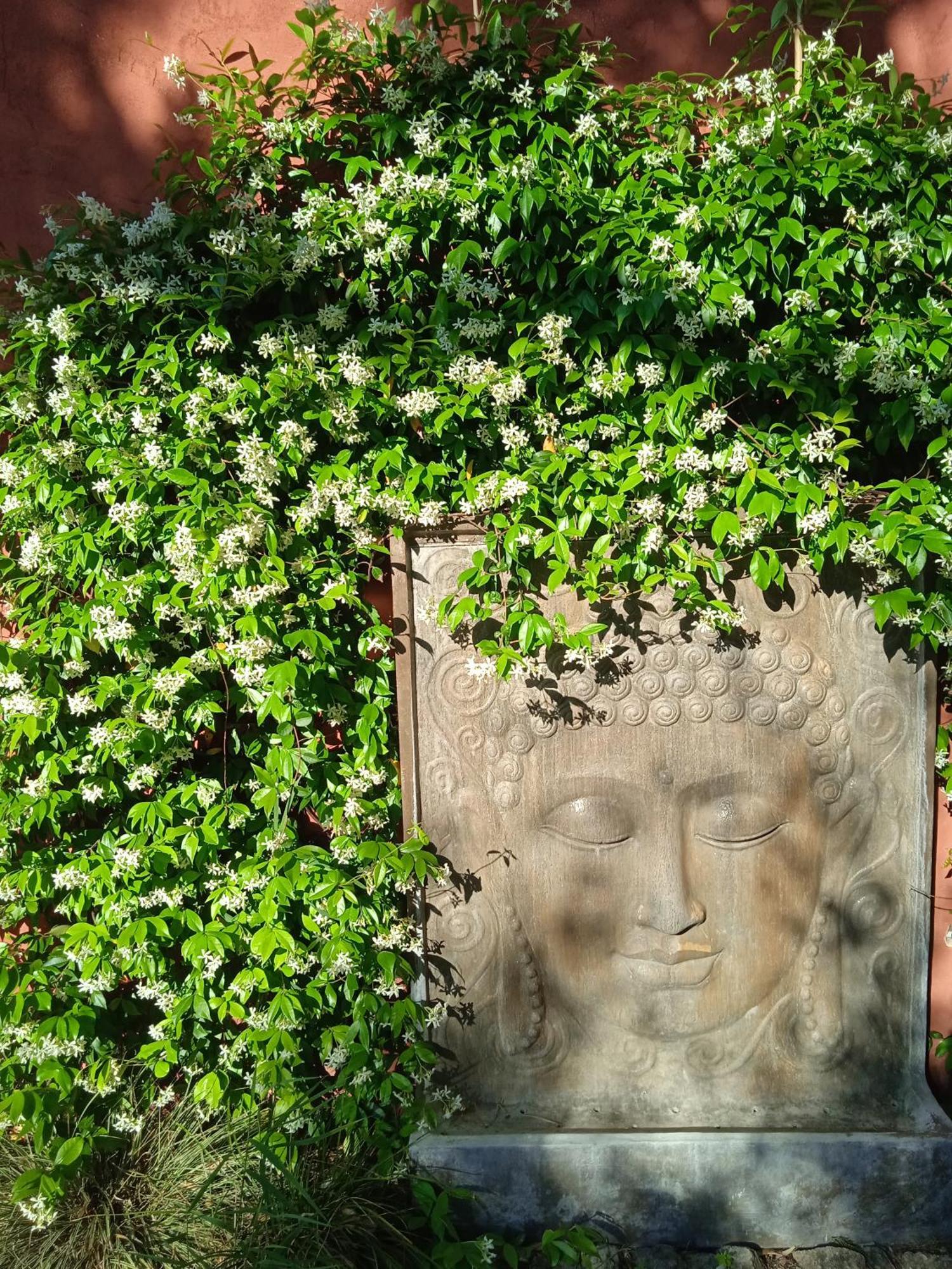 Lavand'Ange Et Spa Sarrians Exterior foto